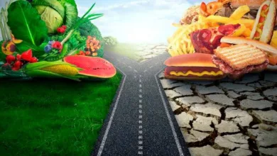 Flexitarianismo: A Dieta Flexível que Está Transformando Corpos e Mentes no Brasil e nos EUA (24)