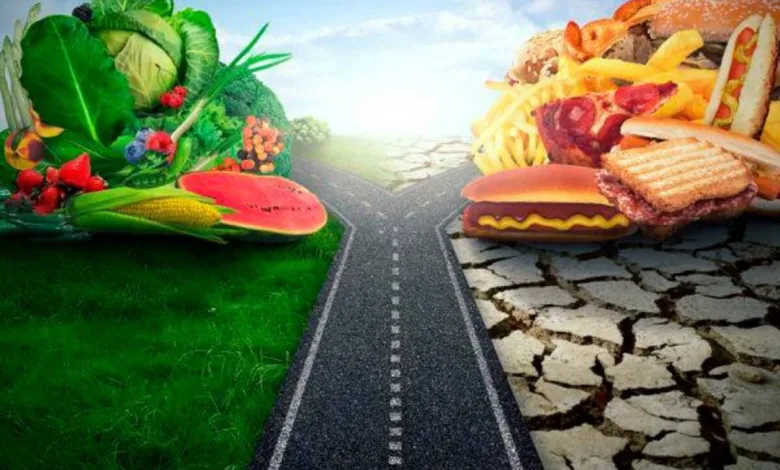 Flexitarianismo: A Dieta Flexível que Está Transformando Corpos e Mentes no Brasil e nos EUA (24)