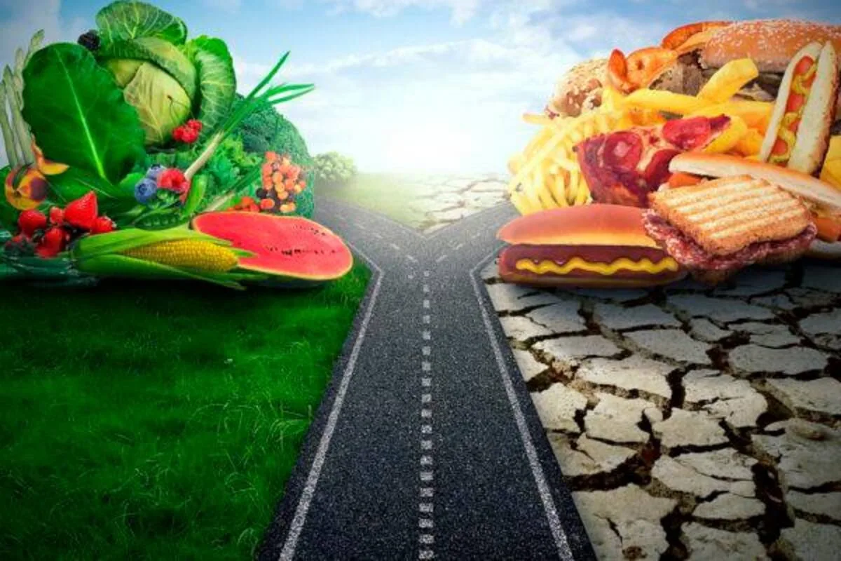 Flexitarianismo: A Dieta Flexível que Está Transformando Corpos e Mentes no Brasil e nos EUA (24)