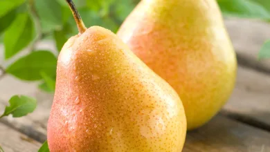 Pêra Fitness: Saúde, Energia, Emagrecimento e Performance para Atletas no Brasil e EUA (23)