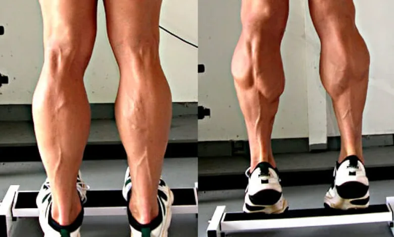 Elevação de Panturrilha: O Exercício Esquecido que Transforma Suas Pernas e Define Seu Corpo (08) 1 Elevação de Panturrilha: O Exercício Esquecido que Transforma Suas Pernas e Define Seu Corpo (08)